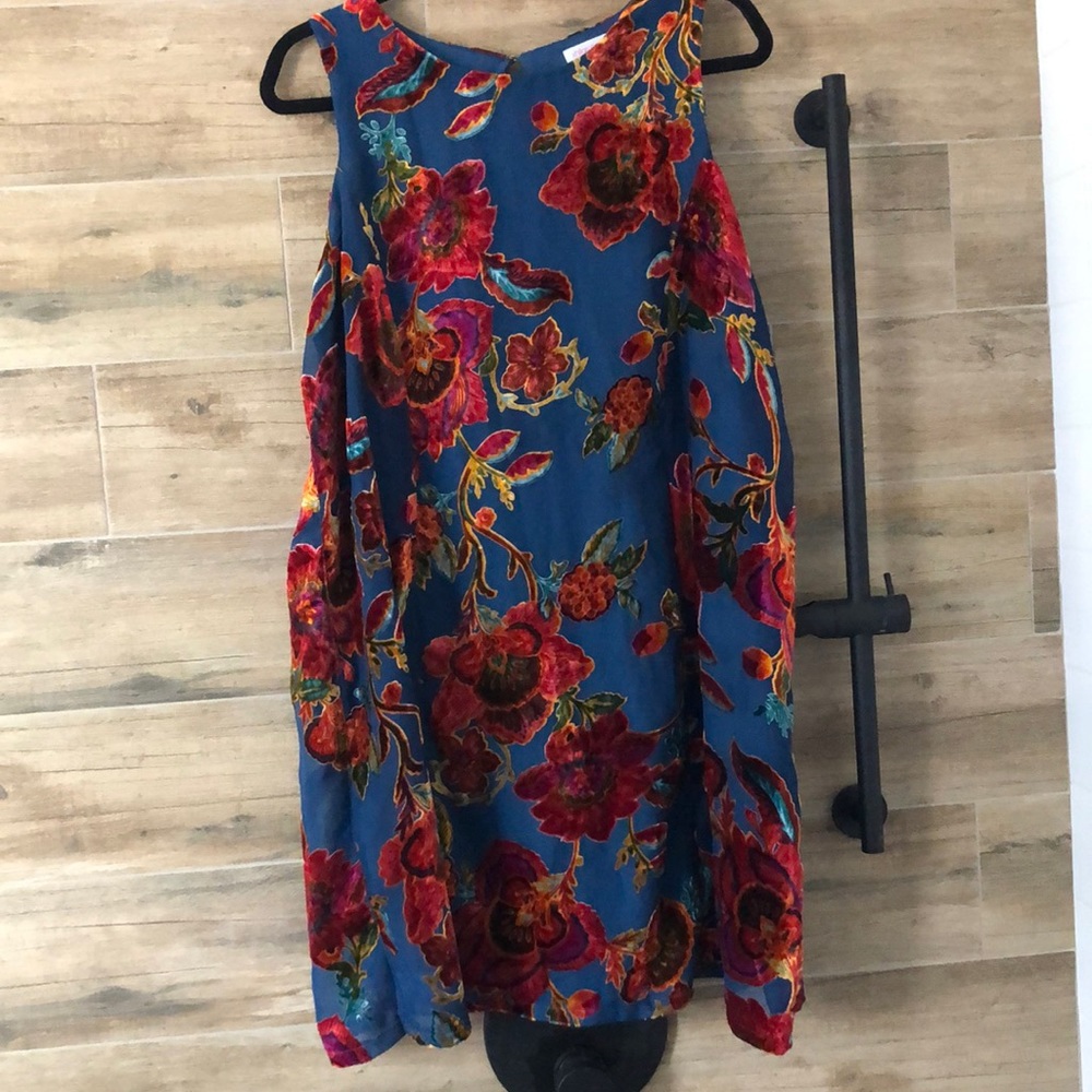 Target velvet burnout dress